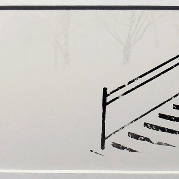 Silver Bromide Photograph Allan Manus Montréal Steps to Mount Royal With… - Picture 3 of 5